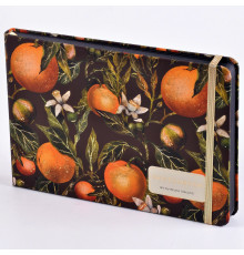 Скетчбук 100л Bruno Visconti "Флора.Райские апельсины" на резинке 21,3*14,6 100г/м2 1-608/01