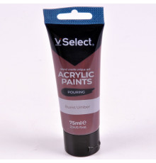Краска акриловая 75мл VSelect умбра жженая KRVS195200