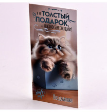 Конверт для денег "Я не толстый подарок..." 8,2*16,2 Праздник 5.0001369